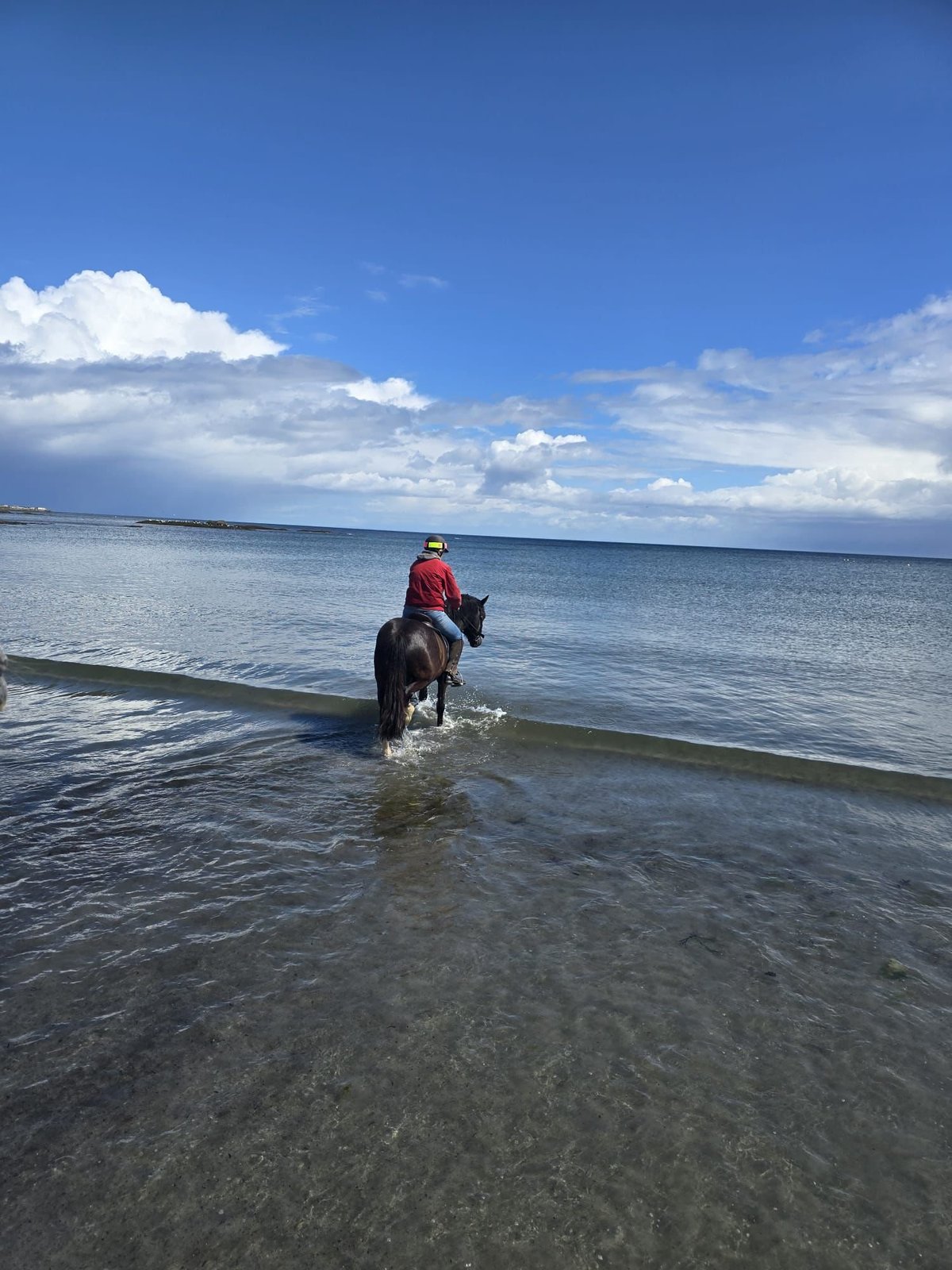 Person in red jacket riding a dark horse in shallow ocean water under blue sky with white clouds