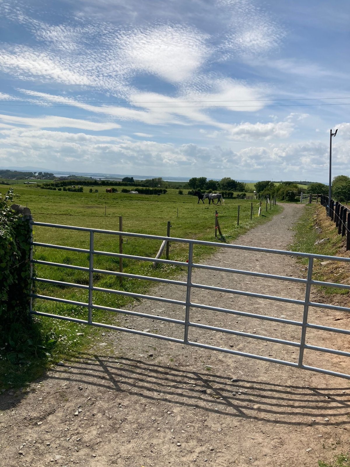Open metal gate on a rural dirt path leading to green pasture with fencing and cloudy sky