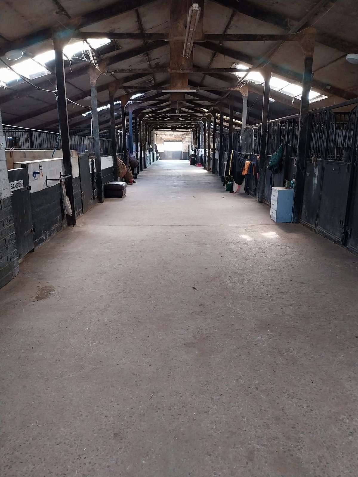 Long corridor in a stable with individual horse stalls on both sides and skylights overhead