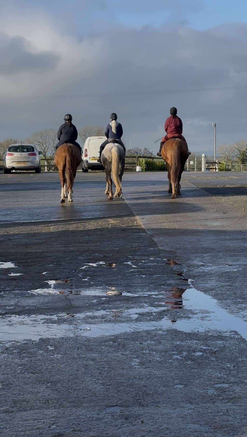 Three riders on horseback trotting across a wet asphalt road with parked cars and cloudy sky in the background