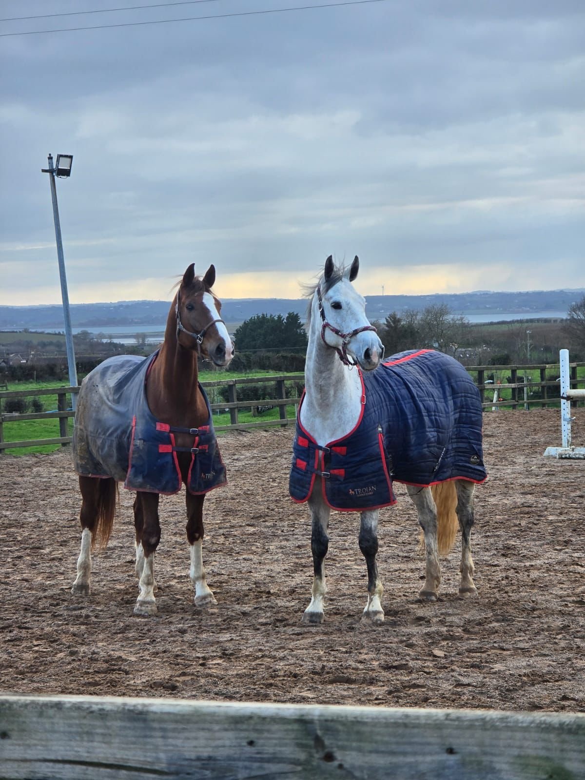 Two horses wearing blankets stand in a dirt arena with mountains visible in the background under a cloudy sky