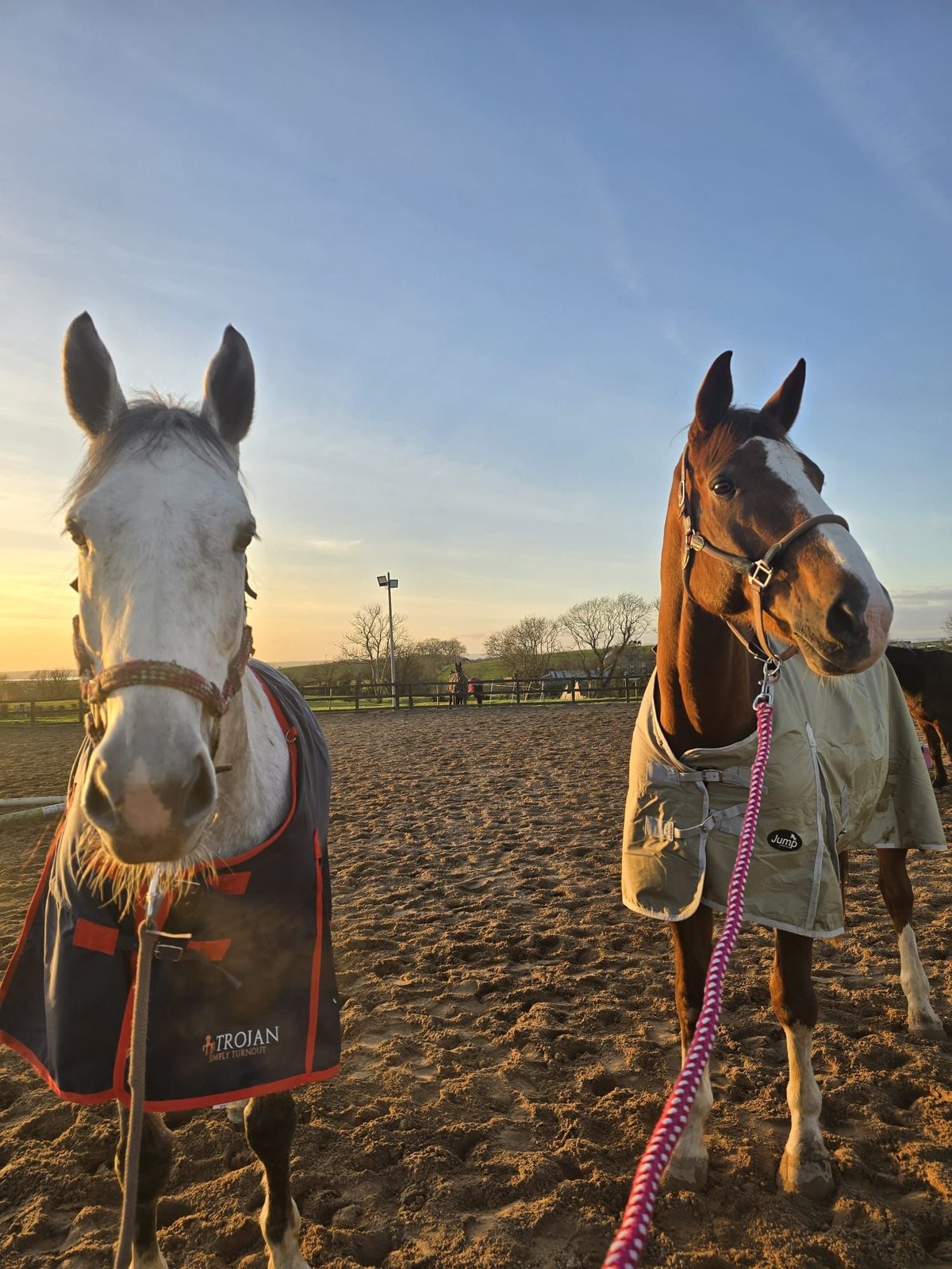 Two horses wearing blankets stand in a sandy paddock at sunset, facing the camera